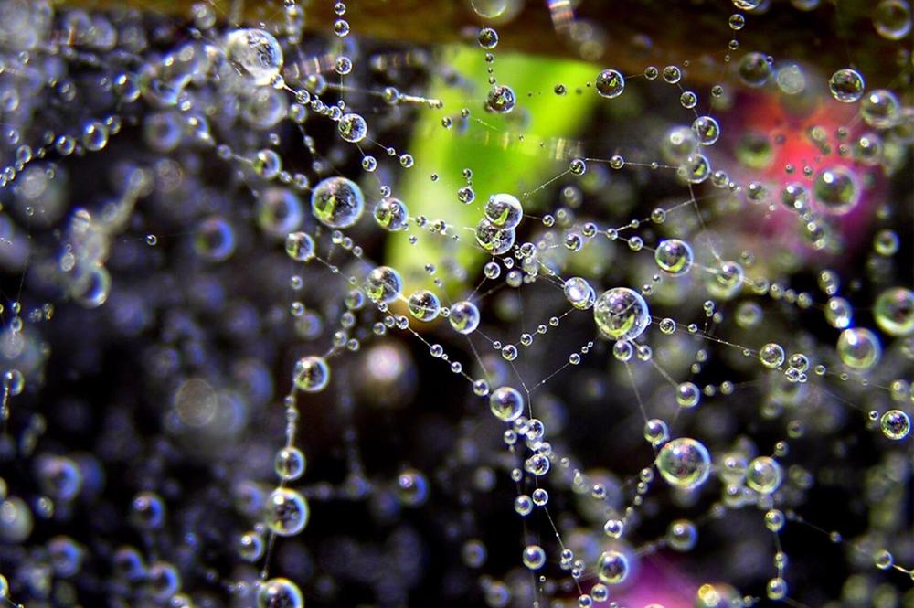 Photograph by Олег Ловцов