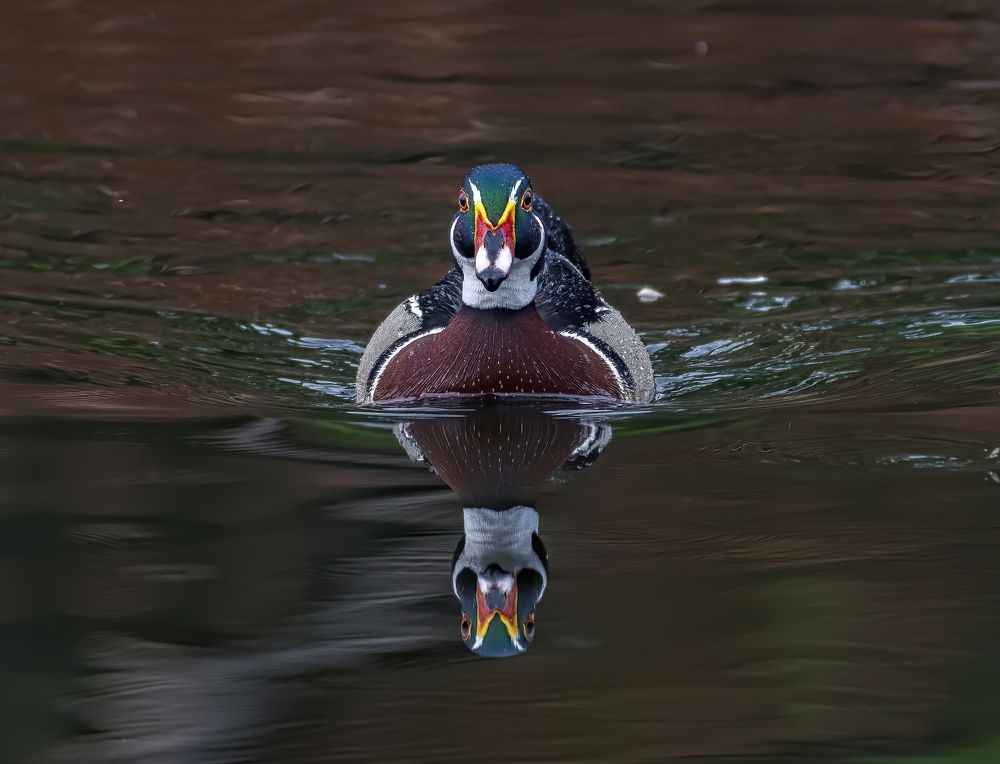 LET THE DARKNESS BE YOUR BACKGROUND  WHILE YOU REFLECT YOUR GLORY