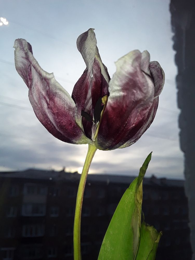 Photograph by Татьяна Собенникова