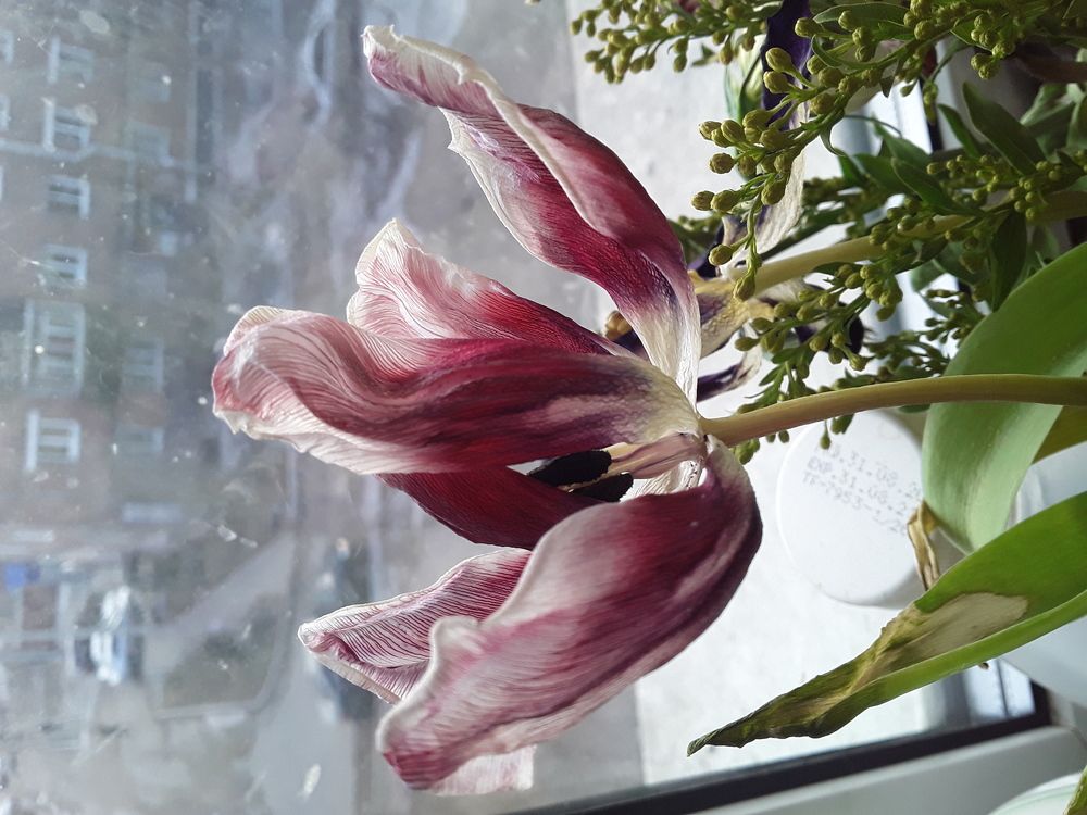 Photograph by Татьяна Собенникова