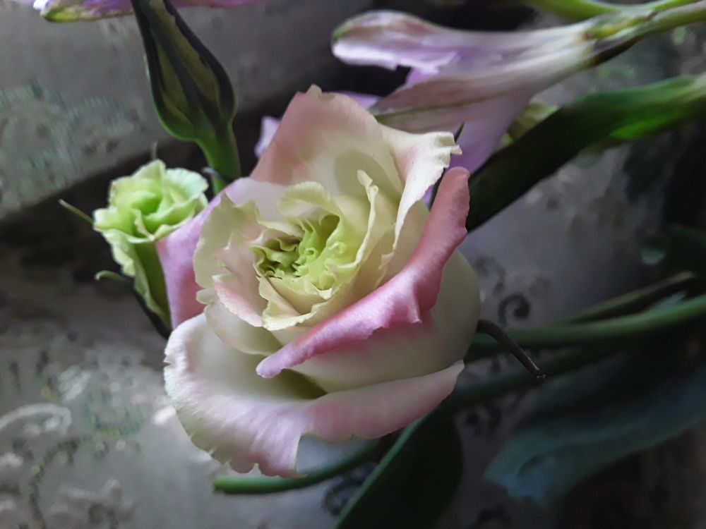 Photograph by Татьяна Собенникова