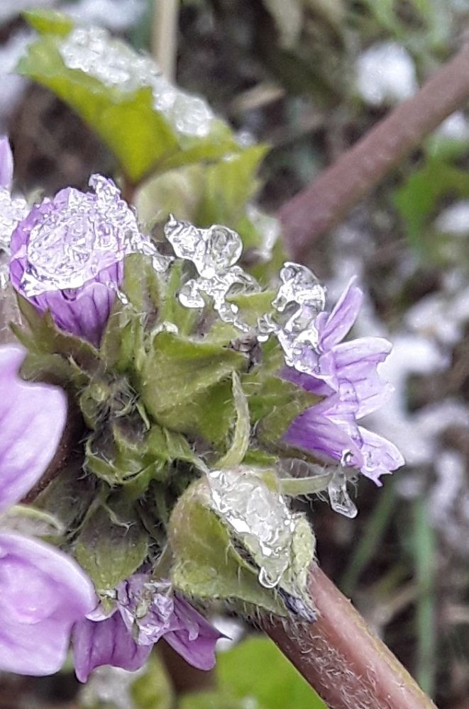 Photograph by Татьяна Собенникова