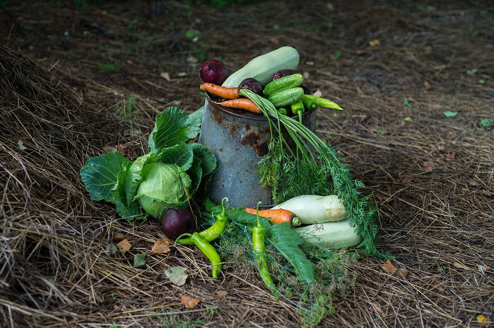 Photograph by Алексей Александрович