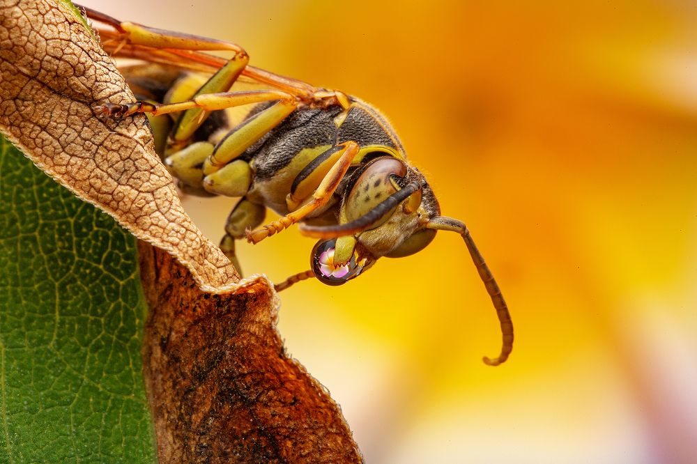 Photograph by Иван Радьков