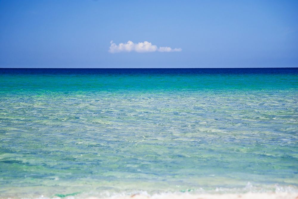 Photograph by Анна Васильева