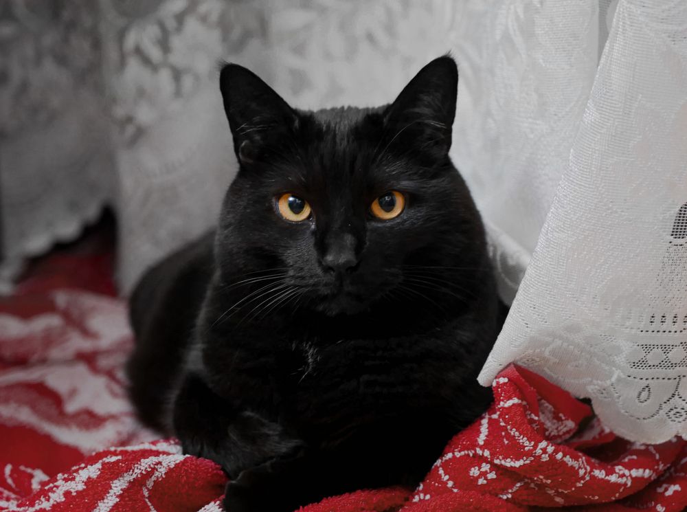 Photograph by Виктория Максюта