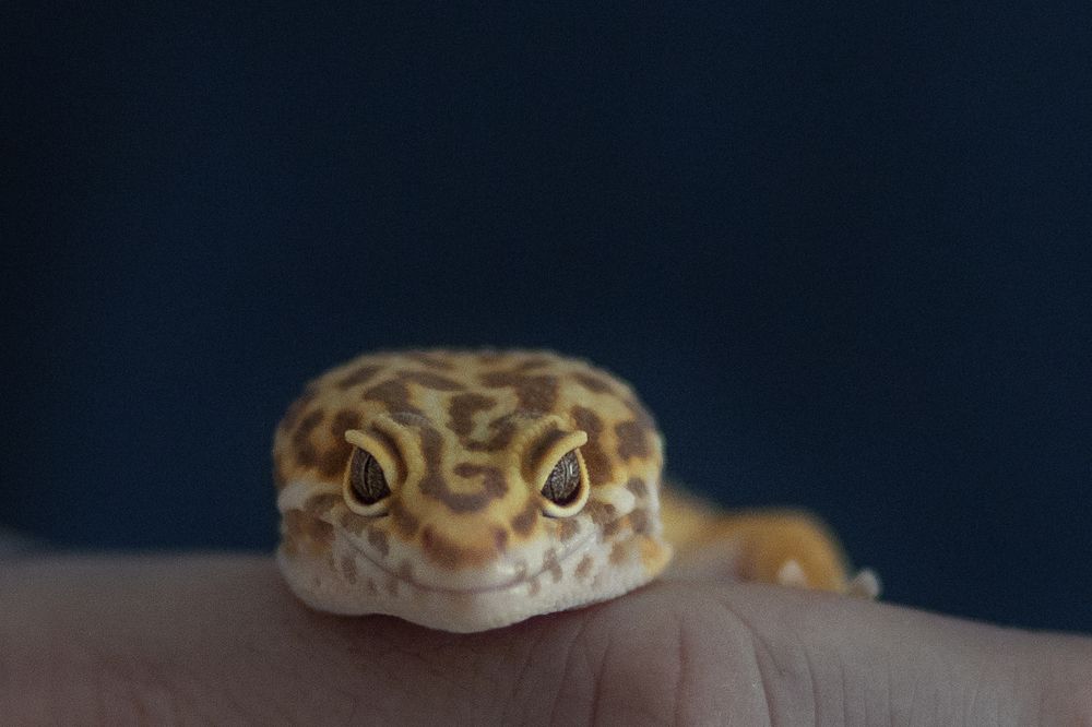 Photograph by Виктория Король