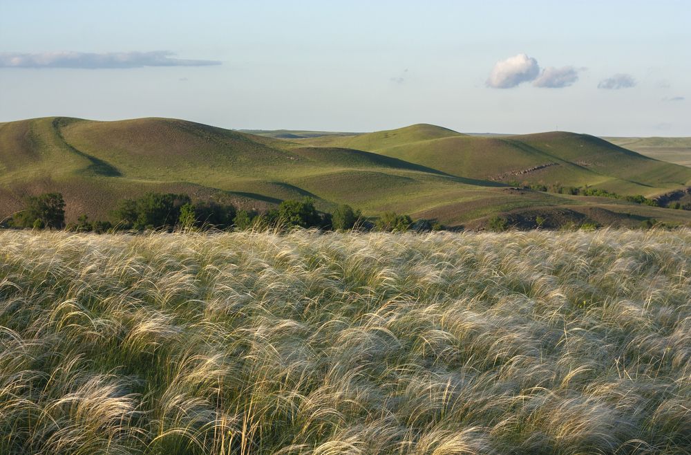 Фотография автора Дитковский Евгений