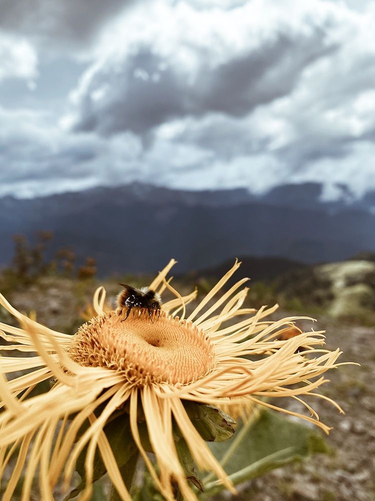 Photograph by Дарья Зайкина