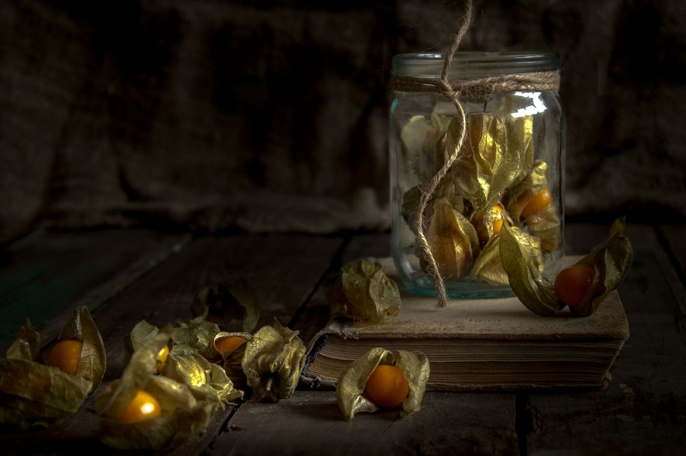 Фотография автора Наталья Соболь