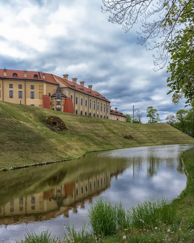 Photograph by Елена Стещенко