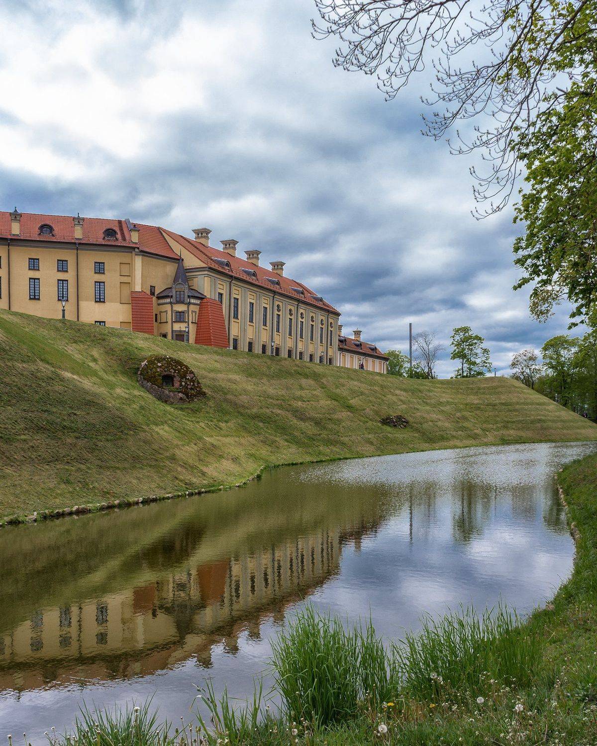 Фотография #5969387