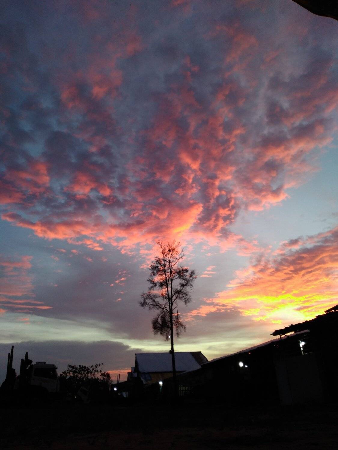 Photo #5969406