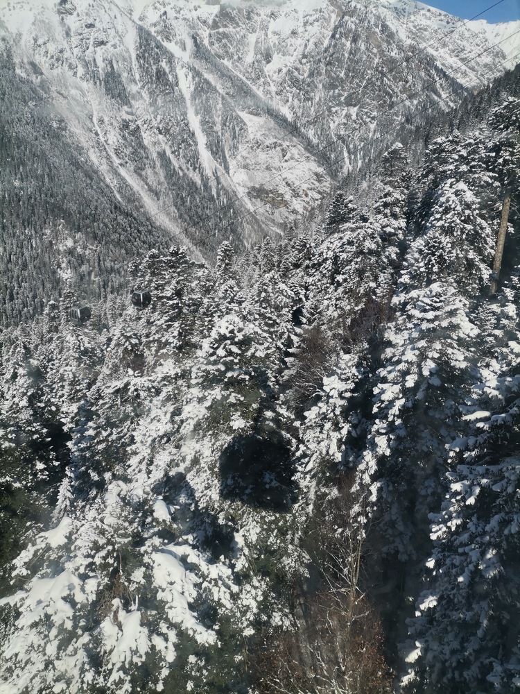 Унесённые призраками. Ice