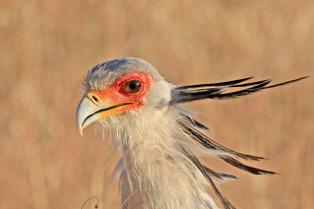 Photograph by Михаил Гусев