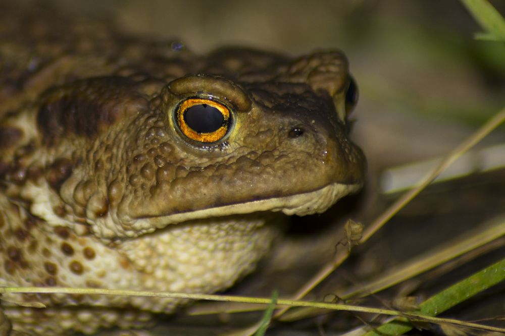 Photograph by Михаил Лавренков