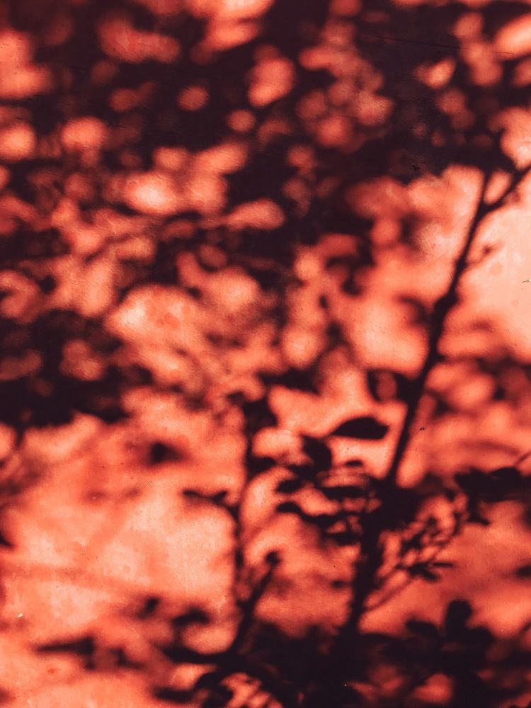 Фотография автора Мария Жукова