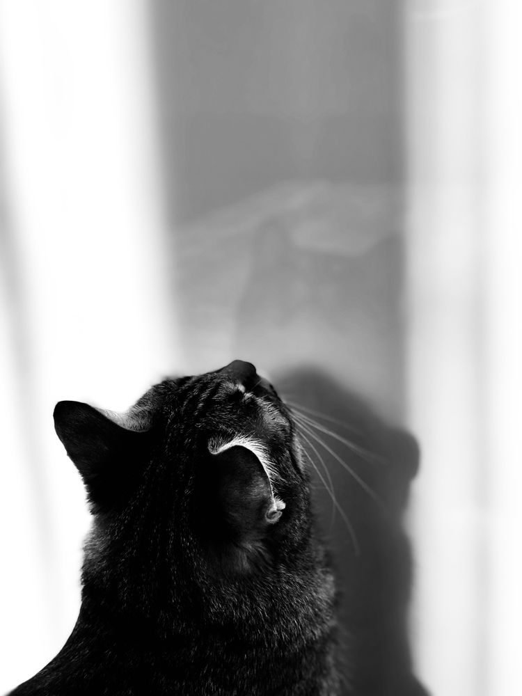 Photograph by Алия Айткалиева