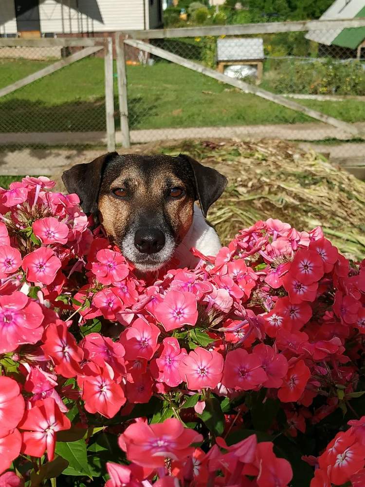 Photograph by Светлана