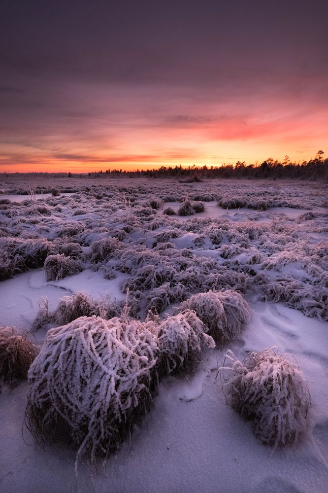Photograph by Роман Грушевский