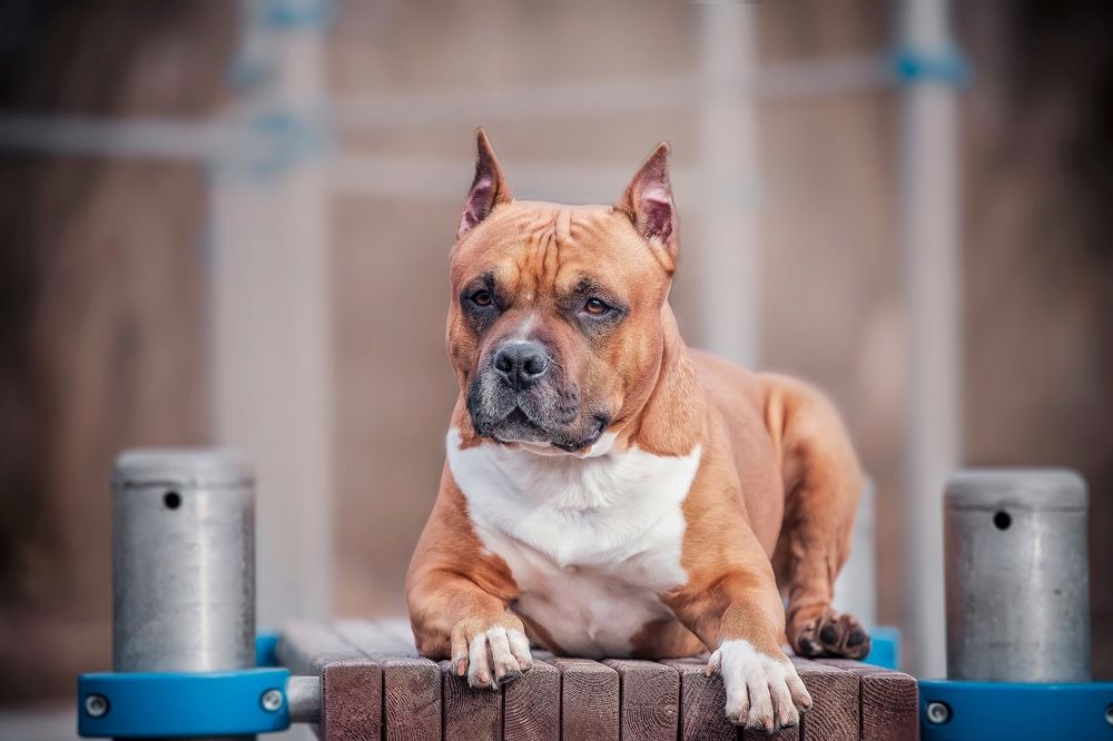 Photograph by Анна Григорьева