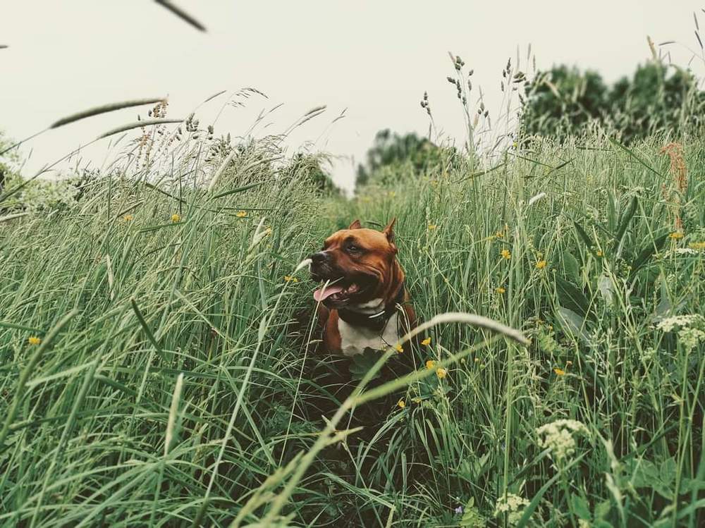 Photograph by Светлана