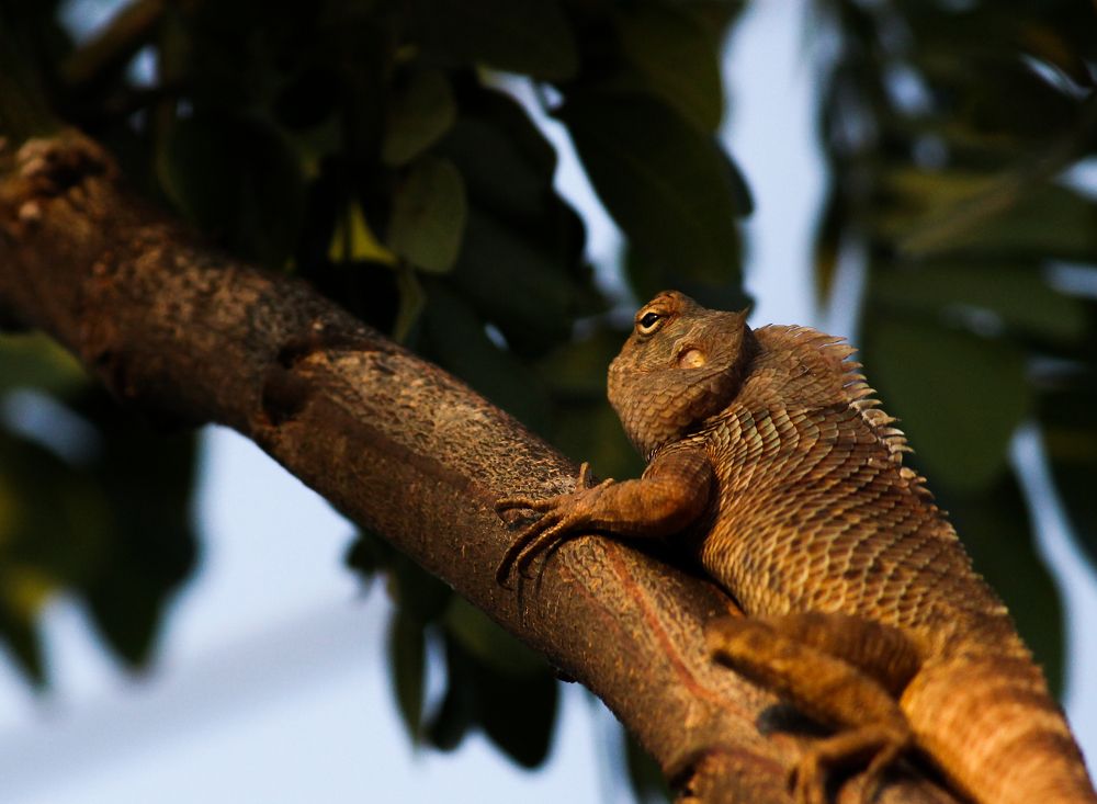 Photograph by Kapilesh Gujarathi