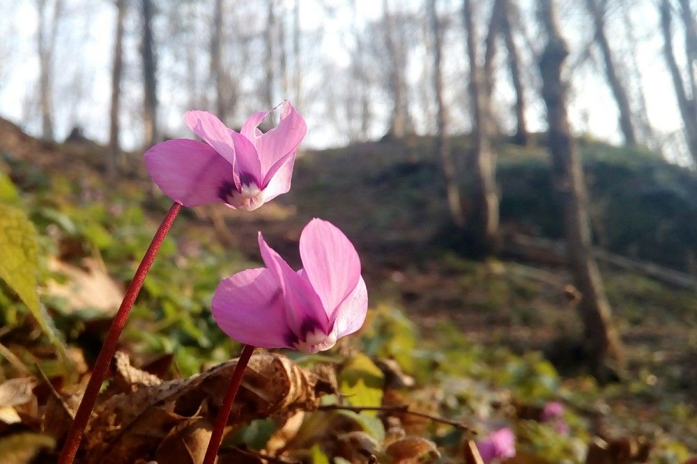 Photo #5969690