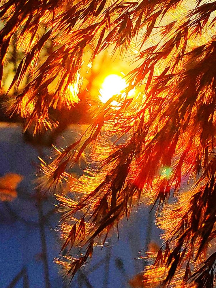 Photograph by Сергей Соломин