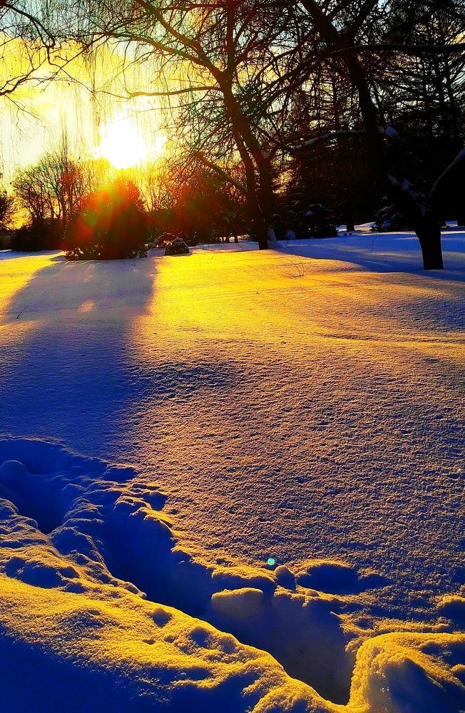 Photograph by Сергей Соломин