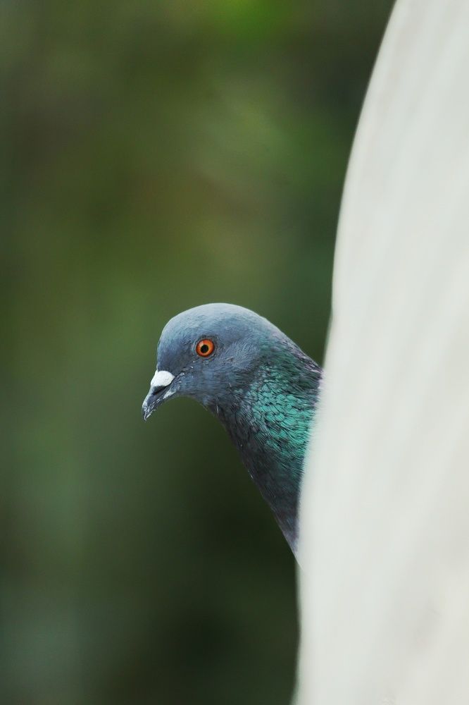Photograph by Kapilesh Gujarathi