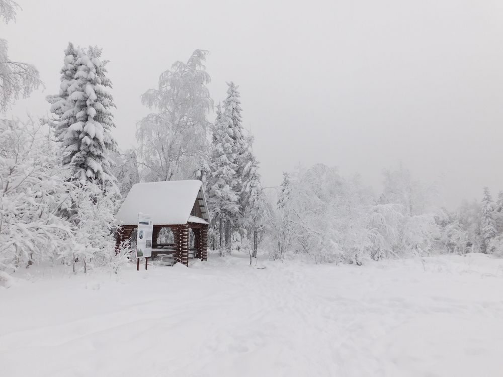 Photograph by Чкареули Светлана