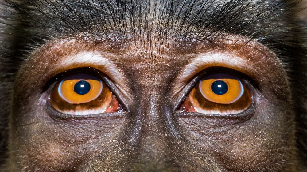 Photograph by Алина Аркатова