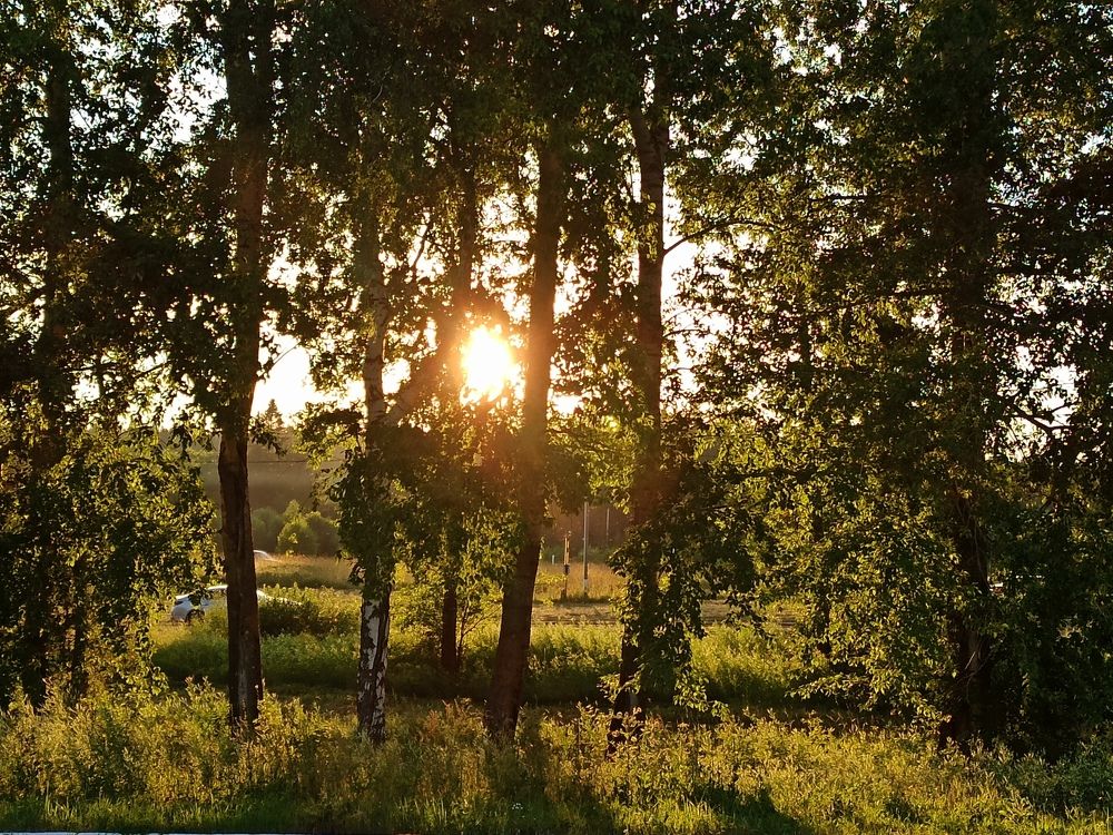 Photograph by Ольга Кузнецова