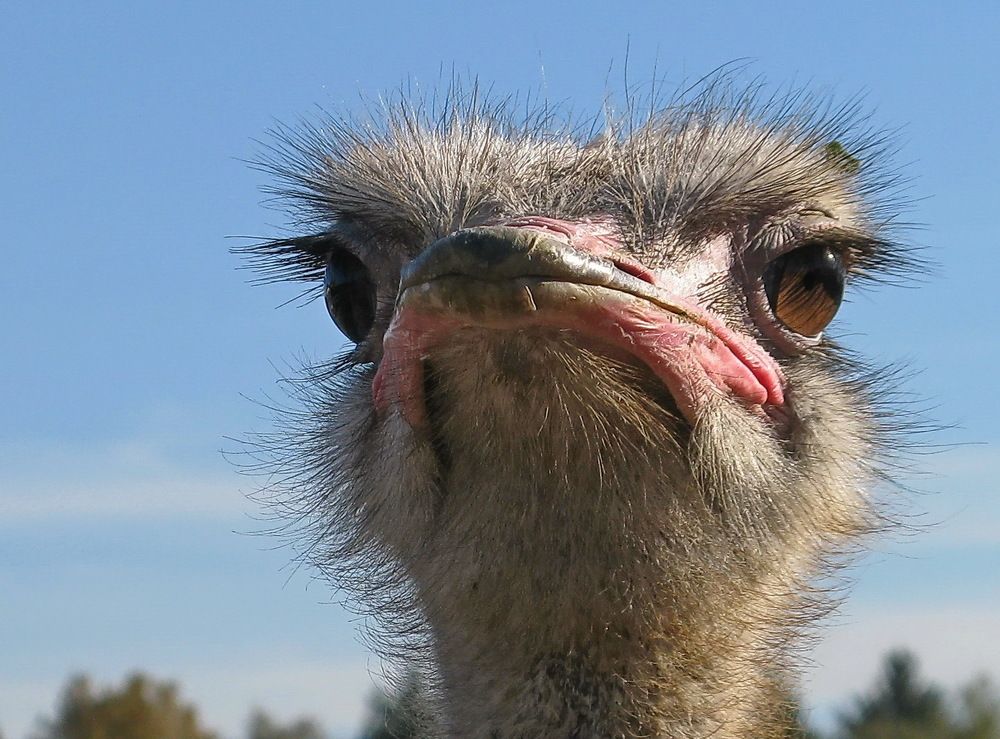 Фотография автора ТАТЬЯНА ЗАХАРОВА