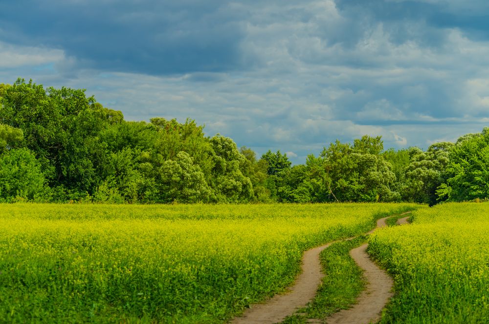 Photograph by Руслан Васьков