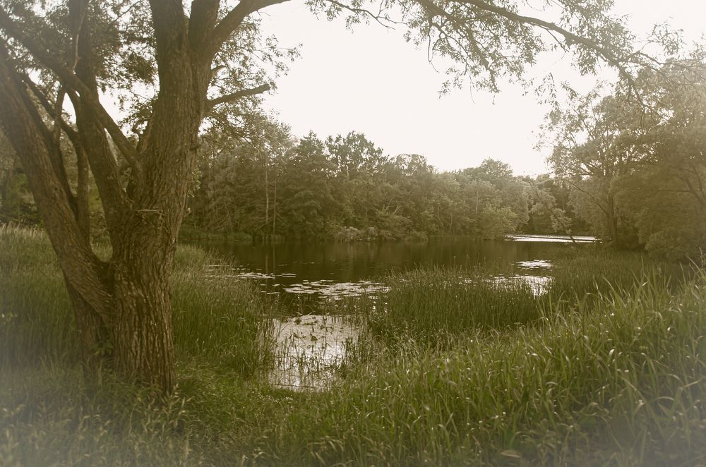 Photograph by Руслан Васьков