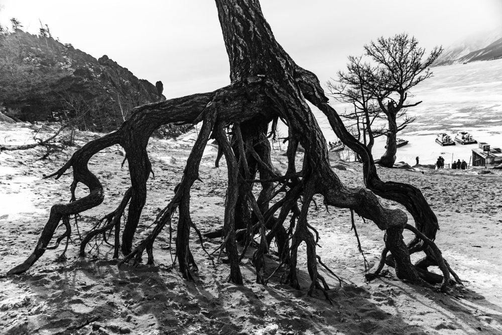 Photograph by Анастасия Токарская