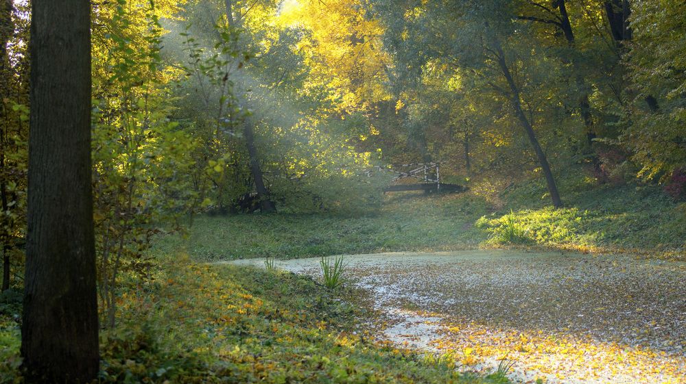 Photograph by Светлана Денисова