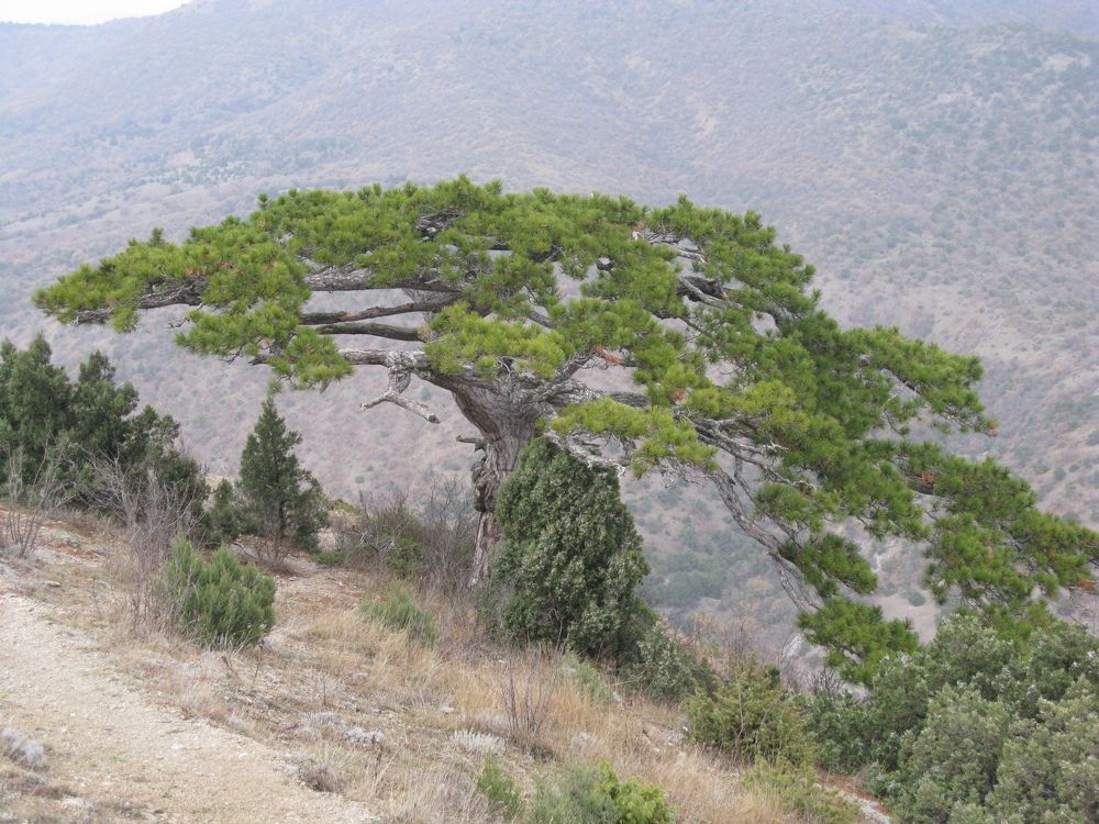 Photograph by иван антоненко