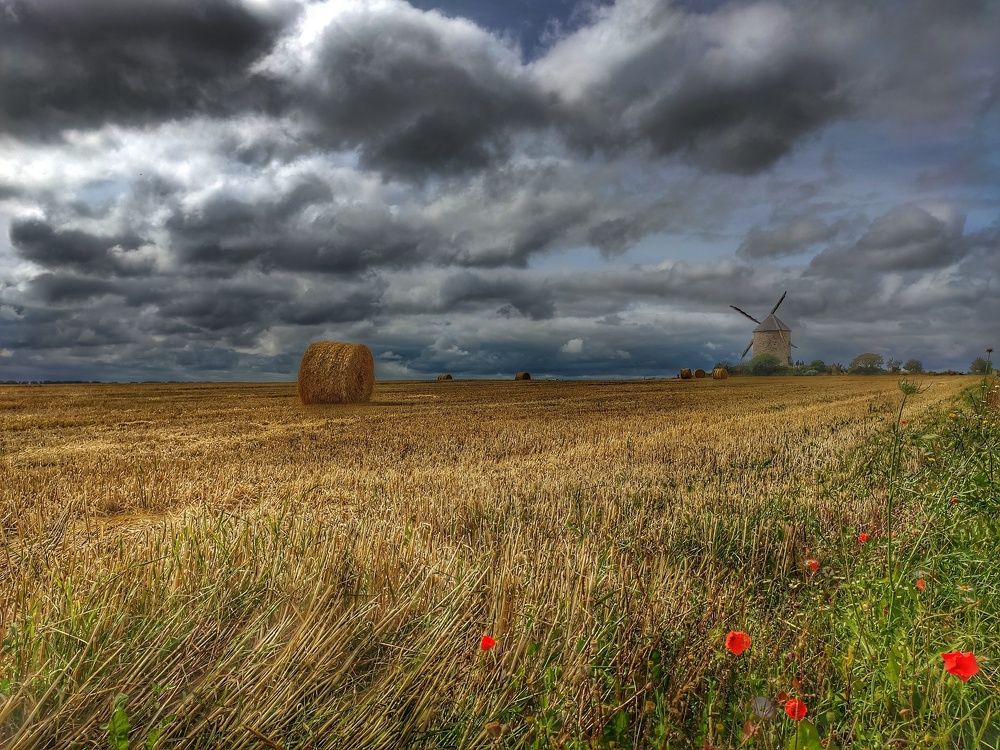 Windmill of Moidrey #1