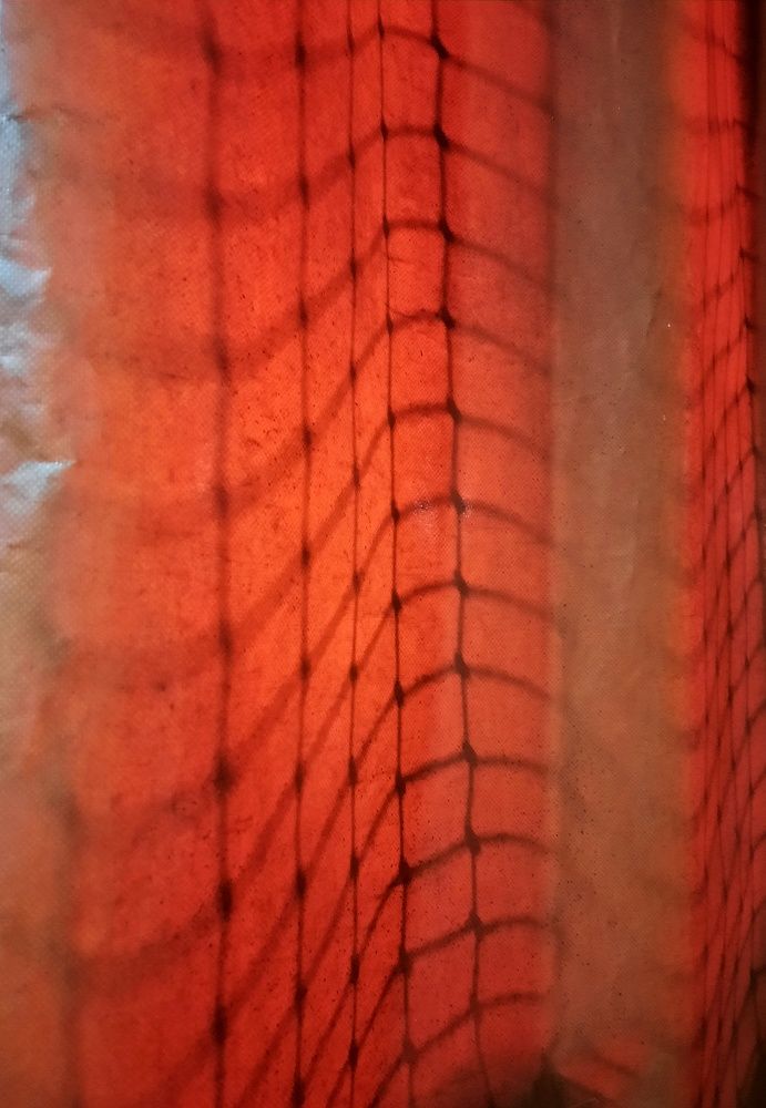 Photograph by Юлия Яровая