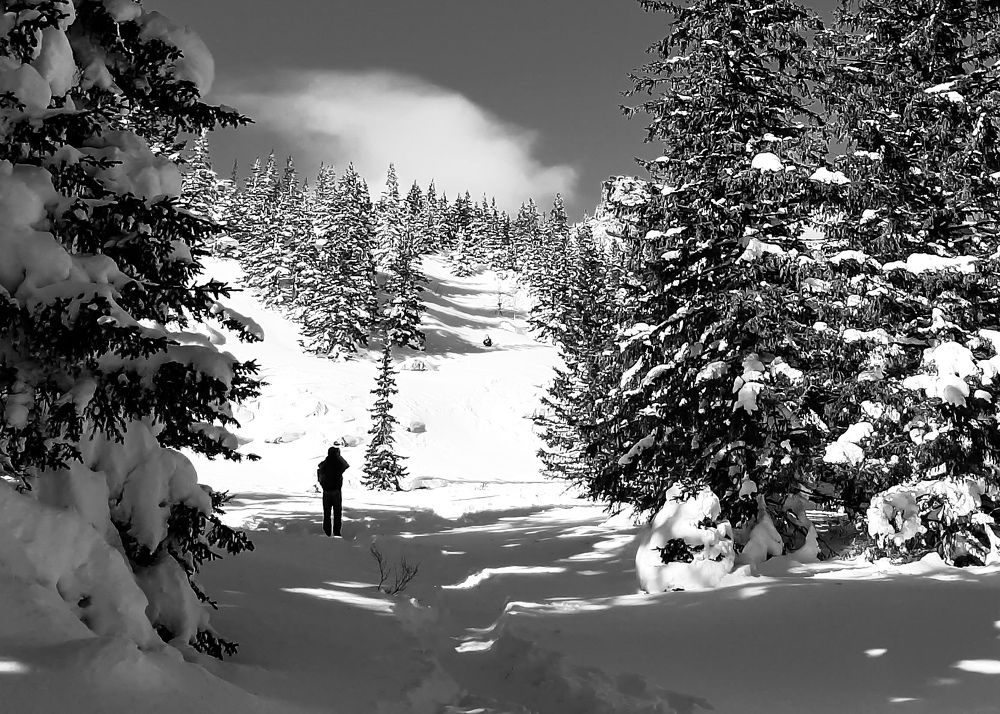 Photograph by Анна Зенкина