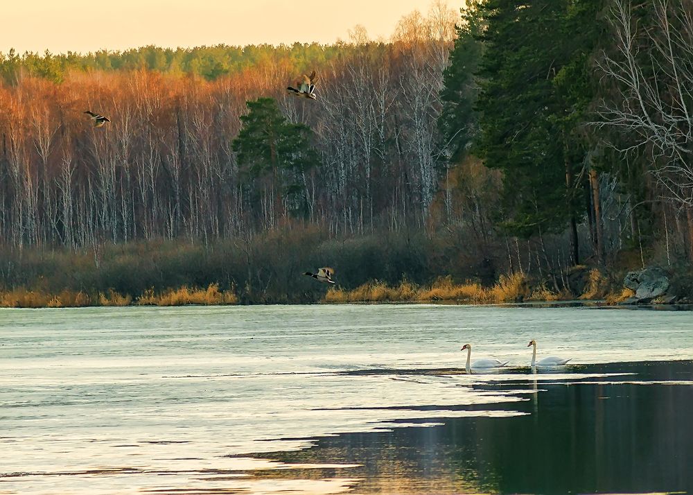 Photograph by Александр Кривошеин