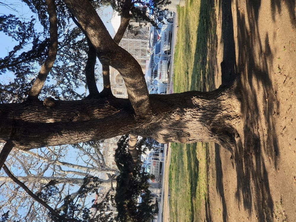 Photograph by Сергей Борисов