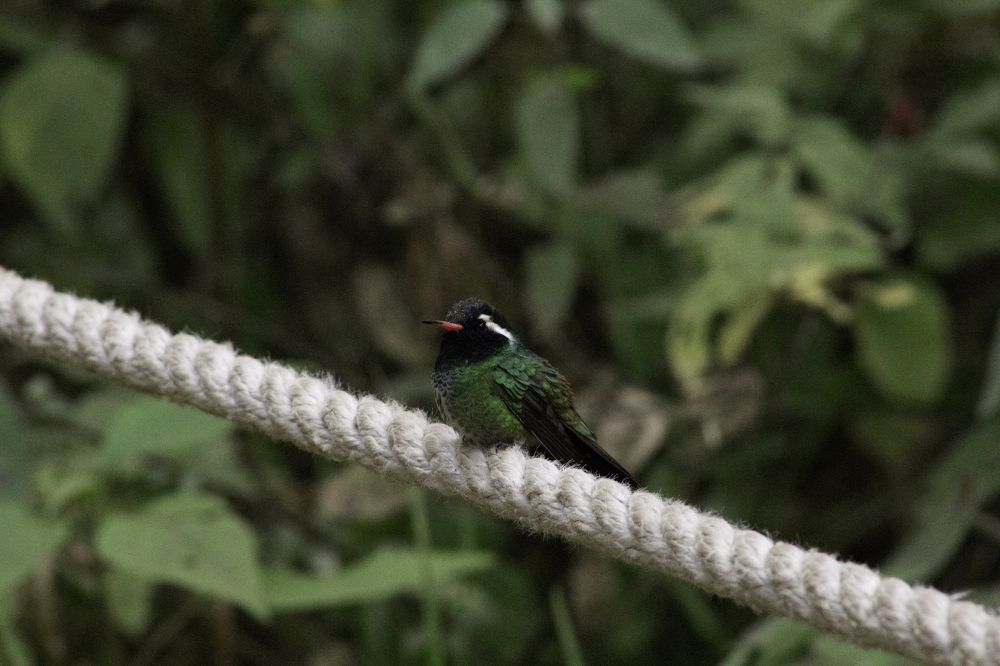 Photograph by Ricardo Canabal