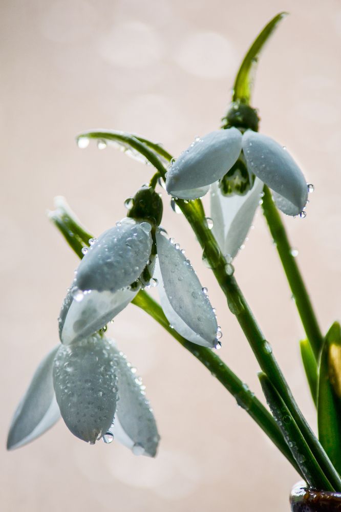 Photograph by Inna Logvinova