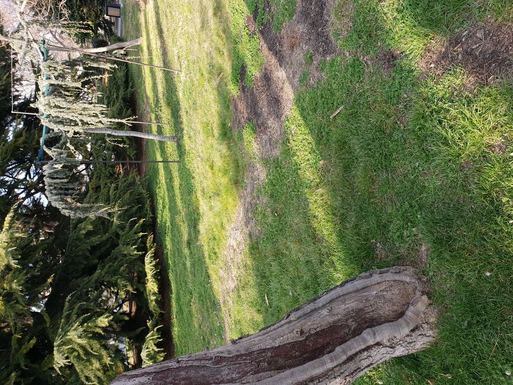 Photograph by Сергей Борисов