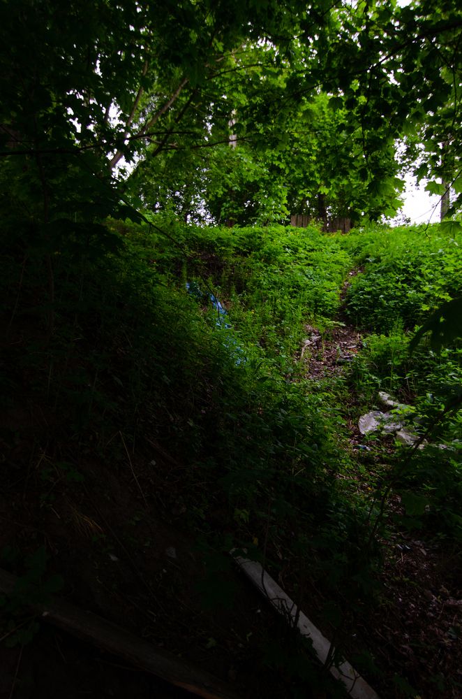 Photograph by Александр Тагаев