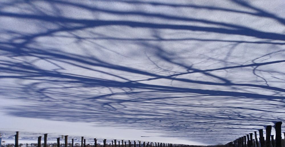 Photograph by Elena Lopatina